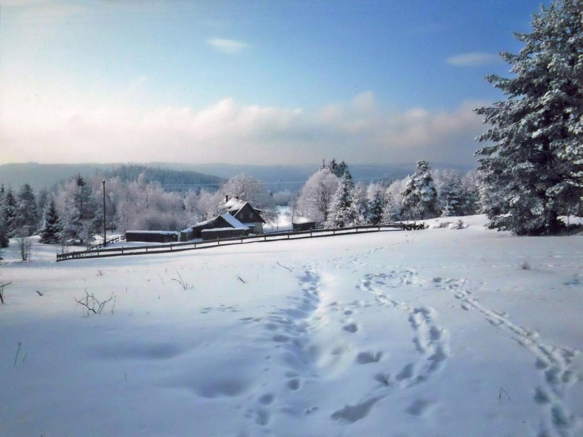 Landhaus Graf Kniebis Esterno foto