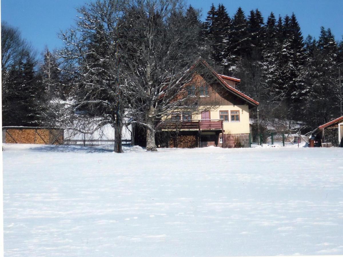 Landhaus Graf Kniebis Esterno foto
